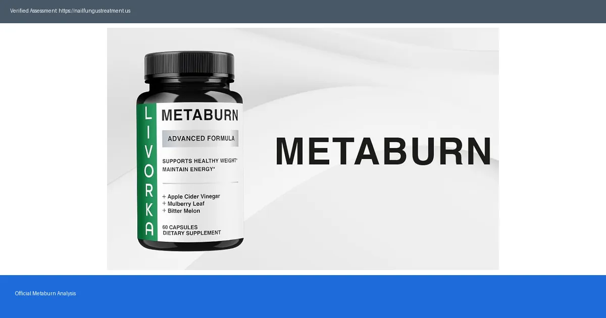 Metaburn: 5 Insightful Reviews You Need to See [2026]
